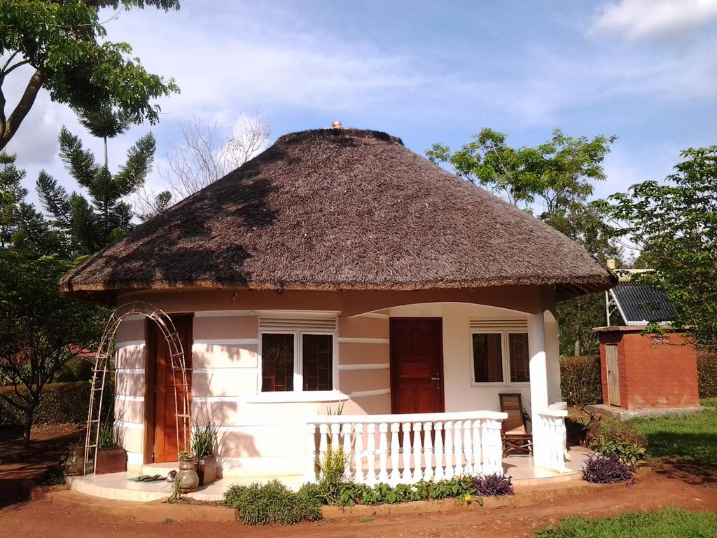 Brownstone Country Home Lira Exterior photo